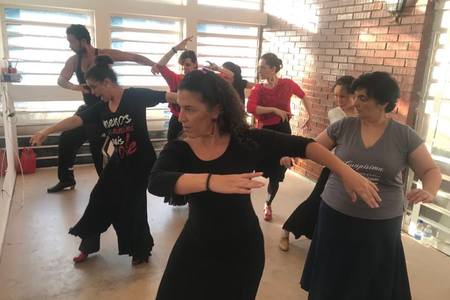 Instituto Alante – Arte Flamenco