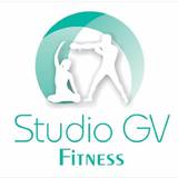 Studio GV Fitness - logo