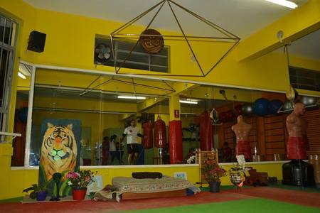 Academia Tigre Fitness - 