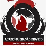 Academia Dragão Branco De Artes Marciais - logo