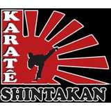 Academia Shintakan - logo
