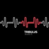 Tribulus Studio Fit - logo