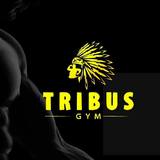 Tribus Gym - logo