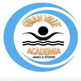 Gran Ville Academia - logo