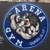 Arena Gym Enseada - logo