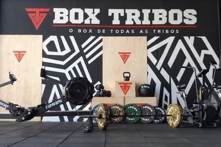 Box Tribos