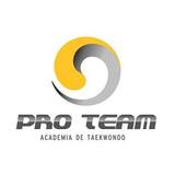 Pro Team Taekwondo - logo