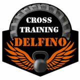 Cross Training Delfino Magalhães - logo