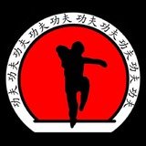 Associação Dragões Do Sul Kung Fu - logo