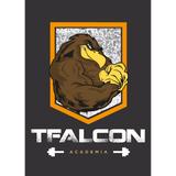 T Falcon Academia - logo