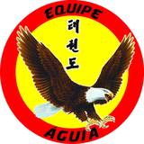 Taekwondo Academia Aguia - logo