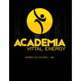 Vittal Energy - logo