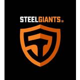 Steel Giants Fitness E Performance - logo