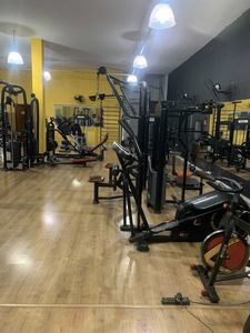 New Fit Gym - 