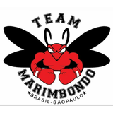 Assessoria Esportiva Marimbondo Team - logo