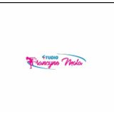 Studio Francyne Mota - logo