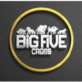 Big Five Cross - logo
