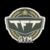 Tft Gym - logo