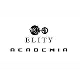 Academia Ellity - logo