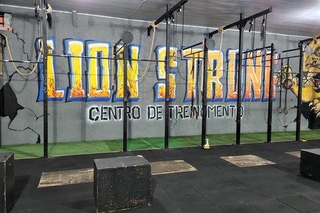 Lion Strong Centro De Treinamento