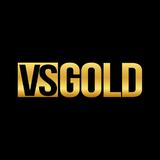 VS GOLD Lago - logo