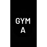 Gym A Sertaozinho - logo