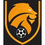 Levplay Sports - logo