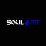 Academia Soul Fit Aparecida de Goiânia - logo