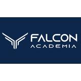 Falcon Academia Unidade Rosolém - logo