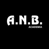 ANB Academia - logo