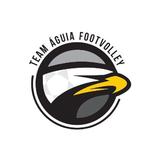 Team Águia Footvolley Recreio - logo