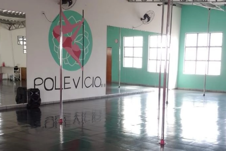 Pole Vicio Pole Dance & Fitness Studio