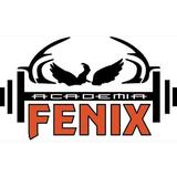 Fenix Academia - logo