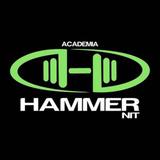 Hammernit Academia - logo
