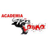 Academia do Lobão - logo