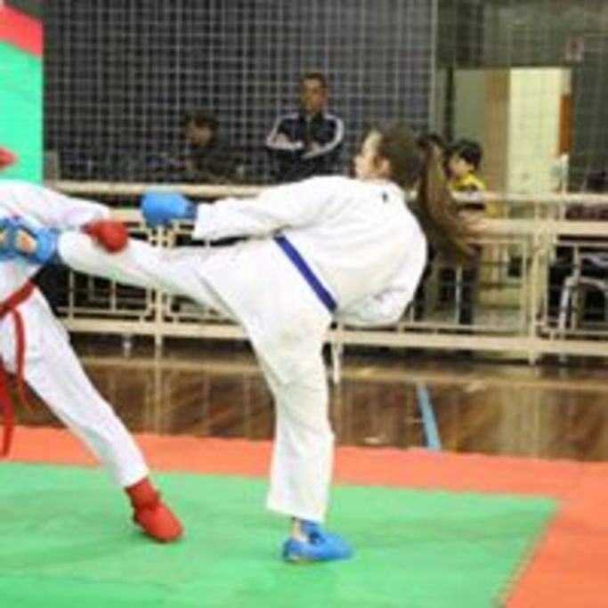Academia Liga De Karate De Osasco Vila Yara Osasco