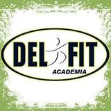 Delfit Academia - logo