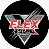 Flex Academia - logo
