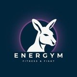 ENERGYM FITNESS & FIGHT - logo