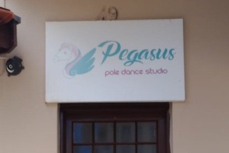 Pegasus - Pole Dance Studio