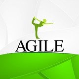 Studio Agile - logo