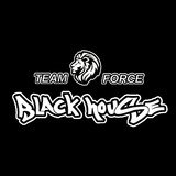 Team Force Black House - logo