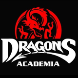 Academia Dragons - logo