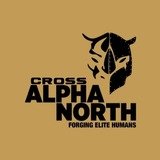 Alpha North Cross - logo