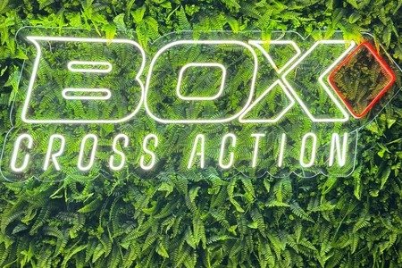 Box Cross Action