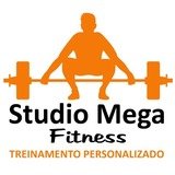 Studio MegaFitness Treinamento Personalizado - logo
