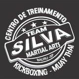 Academia Team Silva Martial Arts - logo