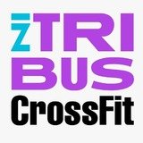 In Tribus Crossfit - logo