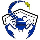 Scorpion Cross Training - logo