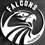 Falcons Academia - logo